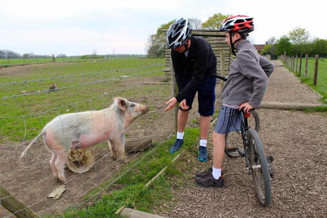 Hampshire, England, UK