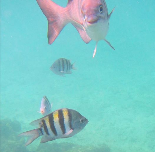 Seven Mile Beach, Grand Cayman