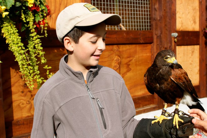 Ashford Castle, Ireland
