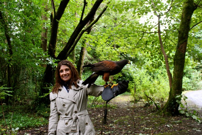 Falconry at Ashford Castle