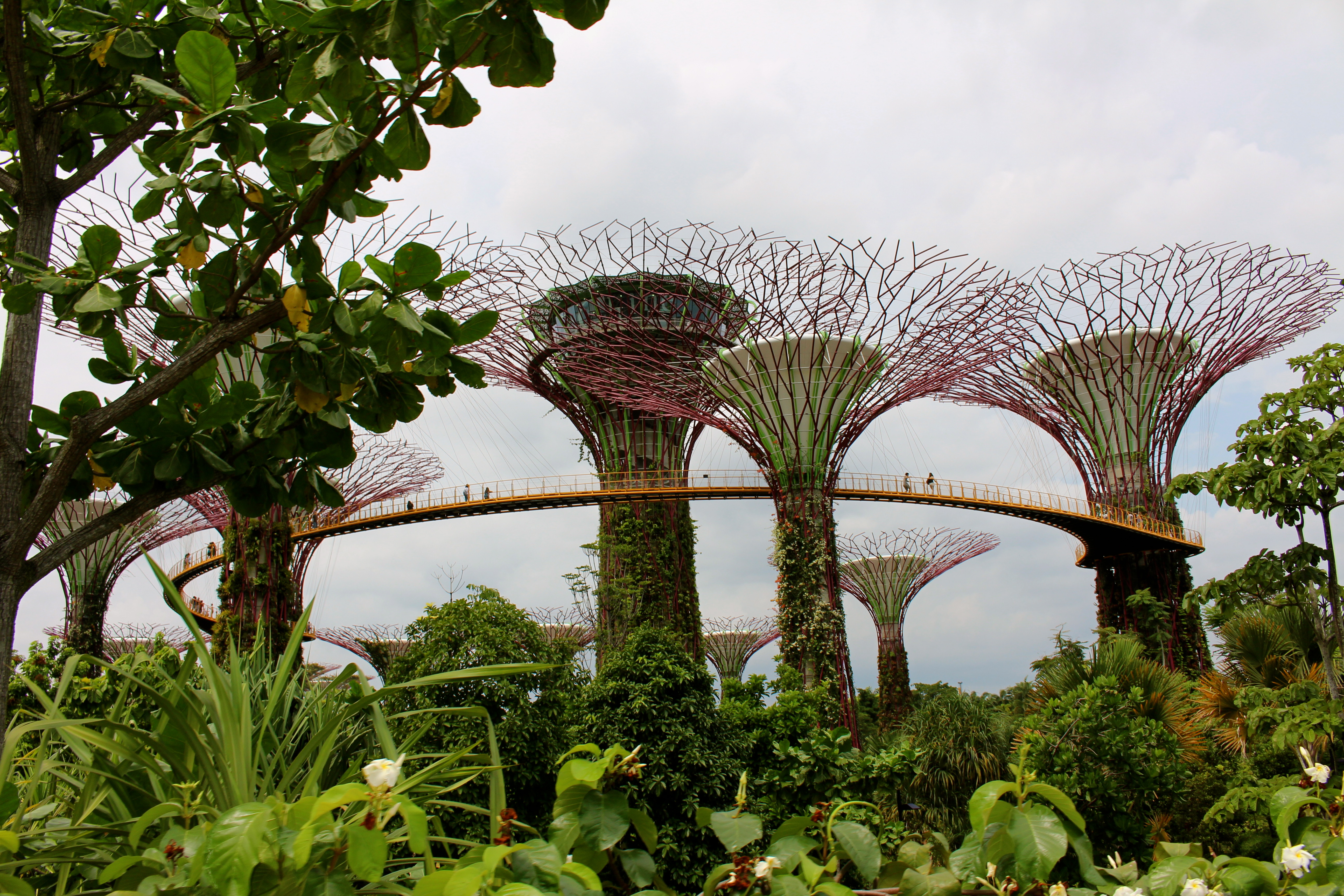Gardens by the Bay Supertrees, Singapore