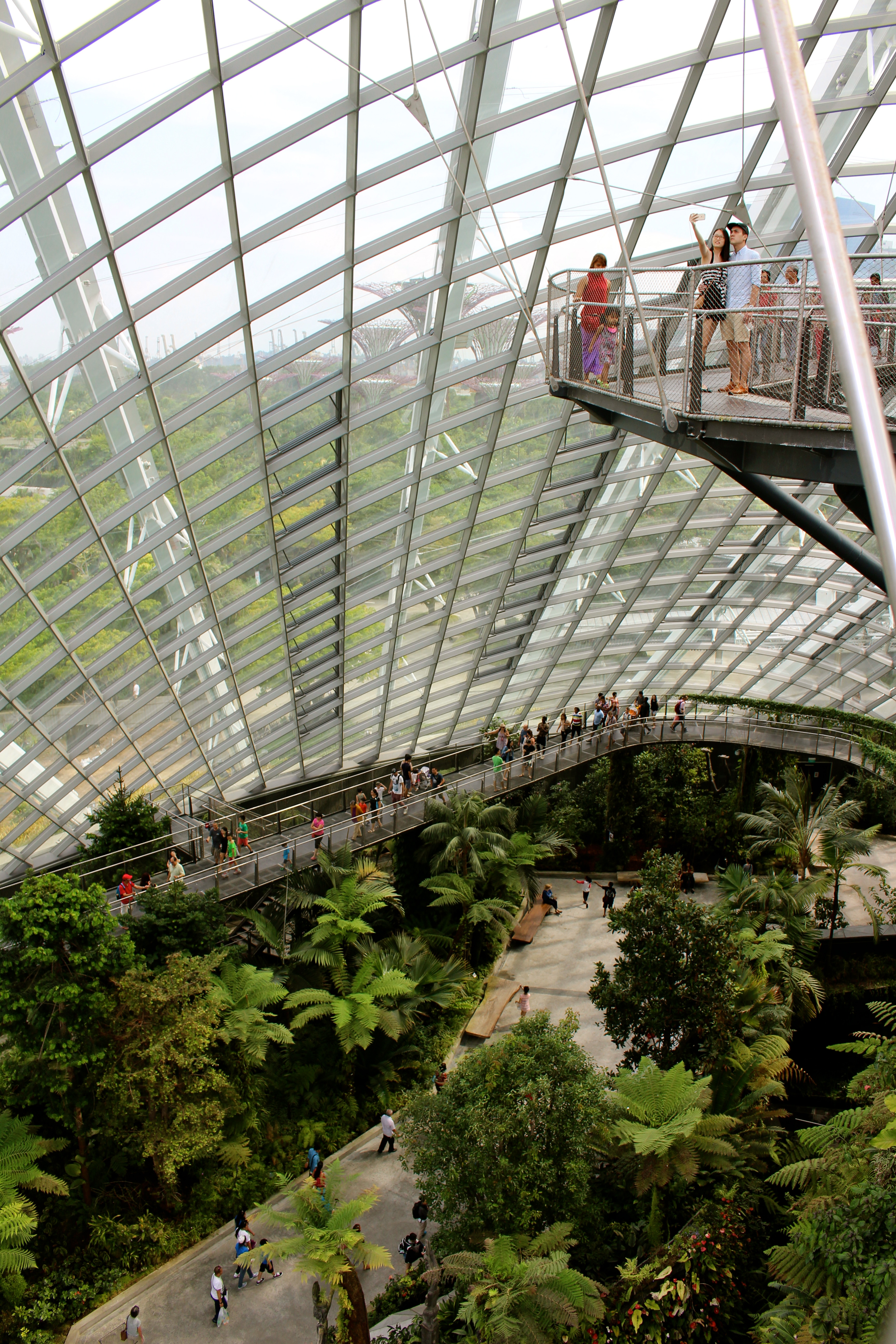 The Cloud Forest at Gardens by the Bay, Singapore