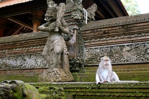 Sacred Monkey Forest, Bali, Indonesia