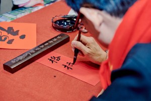 New York Times Travel Show