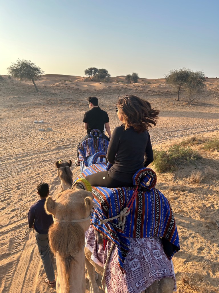 Ritz Carlton Al Khaimah Al Wadi Desert Camel Ride excursion at sunset